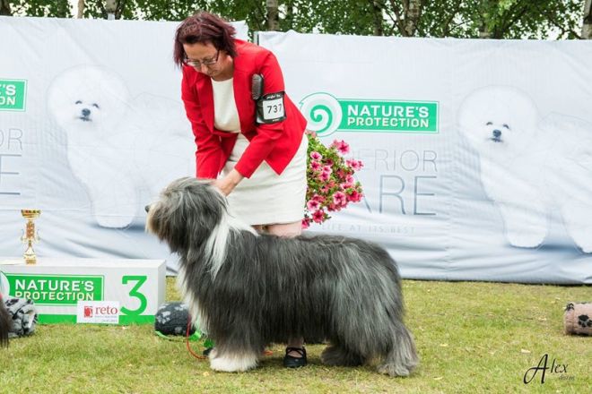 11953301_10153268908958439_6672823362130841303_o