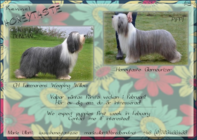 honeytaste pippi-duncan