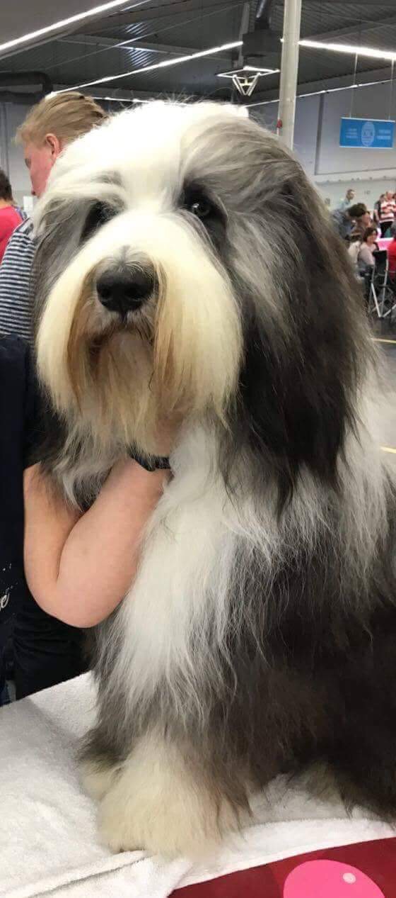 3D59A146-A20A-42D3-813F-DC8E95C8C1B1