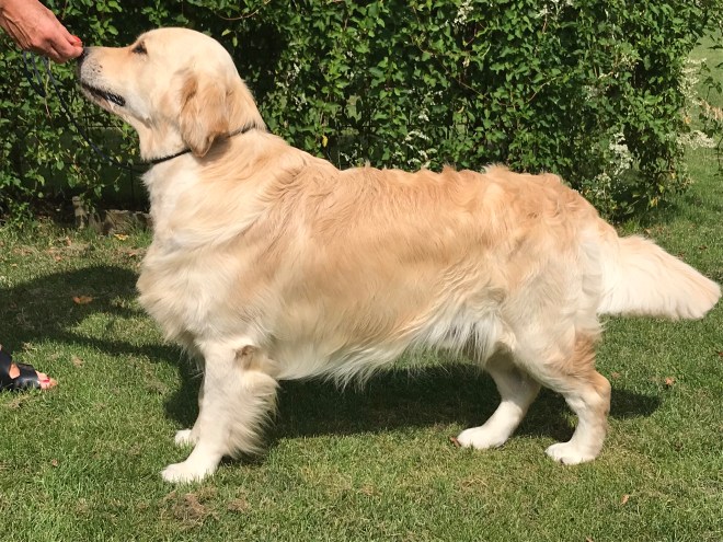 B2E7F26D-E1A1-4F88-A95B-E96119E37987